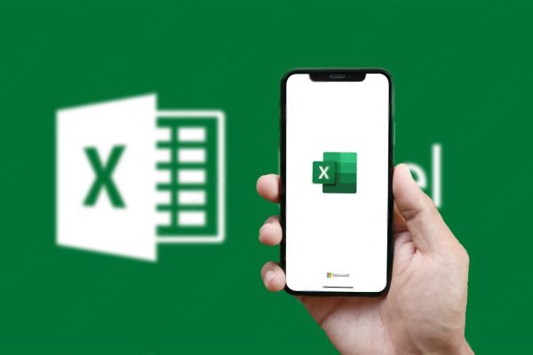 Microsoft Excel: Introduction to Formulas & Functions – Edubox Academy